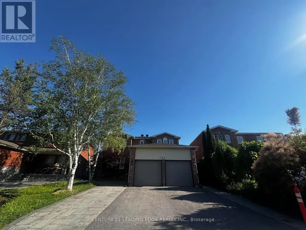 Bsmt - 129 Bernard Avenue, Richmond Hill (Devonsleigh)